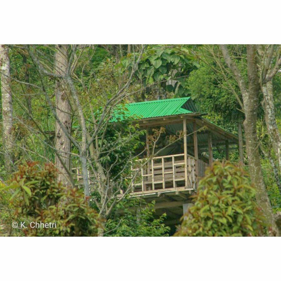 Suma Aavaas Farmstay Darjeeling (West Bengal) Exterior foto